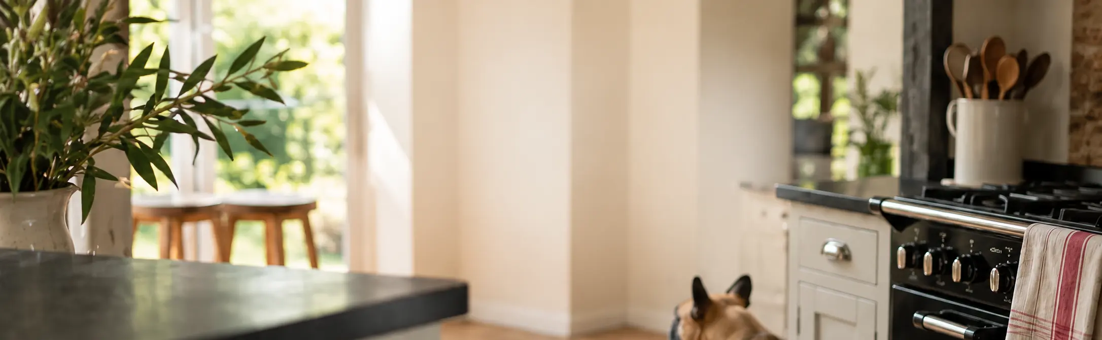 A bright country kitchen with a small dog sitting beside the range